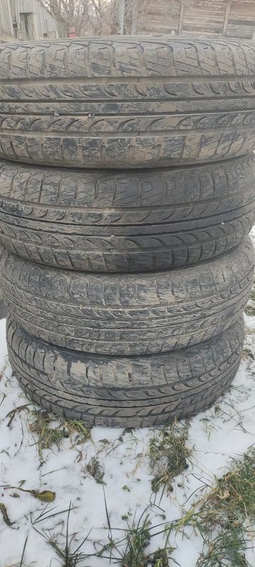 Лот: 24642631. Фото: 1. Tunga. Шины