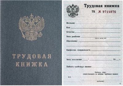 Лот: 12244480. Фото: 1. Трудовая книжка серии ТК - 5. Записные книжки, ежедневники, блокноты