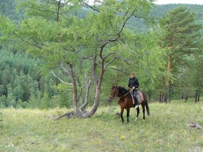 Лот: 674536. Фото: 1. Конные прогулки. Остальные животные