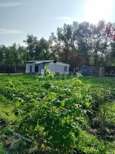 Лот: 25396589. Фото: 1. 3-комн. дом , ТСН Шариповское... Дома