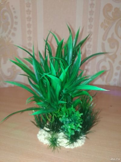 Лот: 12835680. Фото: 1. Водоросли искусственные для аквариума... Водные растения