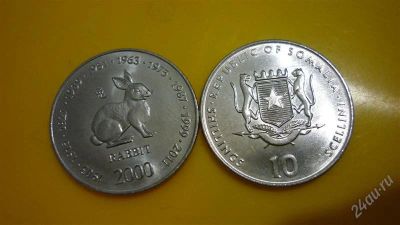 Лот: 1944549. Фото: 1. Добрый крокодил - честное лето... Африка