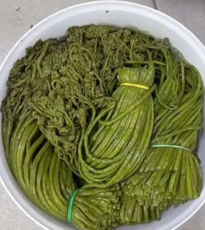 Лот: 23246615. Фото: 1. Папоротник орляк соленый. Другое (продукты)
