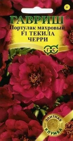 Лот: 11025470. Фото: 1. Портулак Текила Черри F1* 5 шт... Садовые цветы