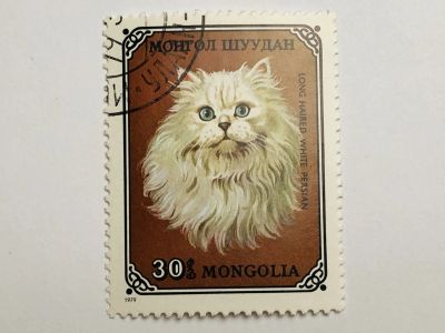 Лот: 23316575. Фото: 1. Домашние кошки. Персидский белый... Марки