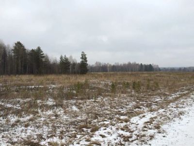 Лот: 6106513. Фото: 1. Земля Раскаты(ИЖС). Земельные участки