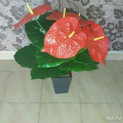 Лот: 10068070. Фото: 1. Искусственный цветок Анториум. Искусственные и сувенирные цветы