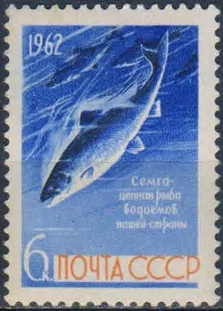 Лот: 25580611. Фото: 1. 1962, 28 августа. Рыбы. н.с... Марки
