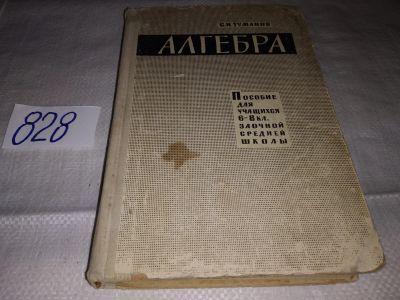 Лот: 15709489. Фото: 1. Туманов С. И. Алгебра. Учебное... Для школы