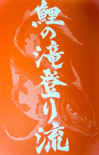 Лот: 10661993. Фото: 1. книги Андрея Кочергина. Спорт, самооборона, оружие