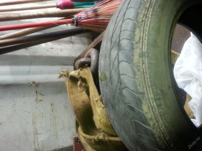 Лот: 4025829. Фото: 1. Dunlop digi-tyre eco ec201 184... Шины