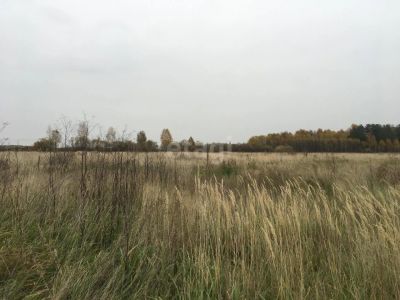 Лот: 25292628. Фото: 1. участок , Сосновоборск Сосновоборск... Земельные участки