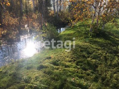 Лот: 25291428. Фото: 1. участок , село Черемшанка село... Земельные участки