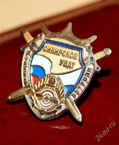 Лот: 1010115. Фото: 1. Нагрудный знак "Почетный ветеран... Памятные медали