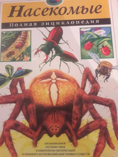 Лот: 14235650. Фото: 1. Энциклопедия Насекомые Эксмо. Энциклопедии