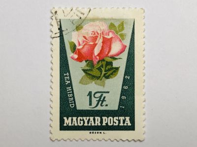 Лот: 23316404. Фото: 1. Цветы. Розы. 1 форинт. Флора... Марки