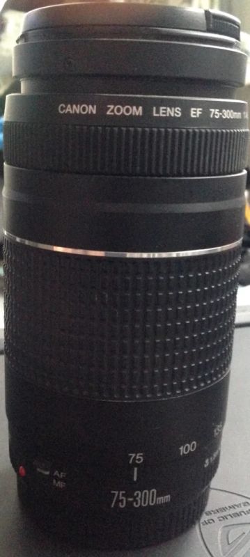 Лот: 4769059. Фото: 1. Объектив CANON EF 75-300mm f/4-5... Объективы