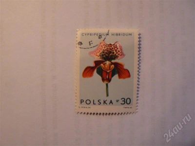 Лот: 663275. Фото: 1. Советская марка 8. Марки