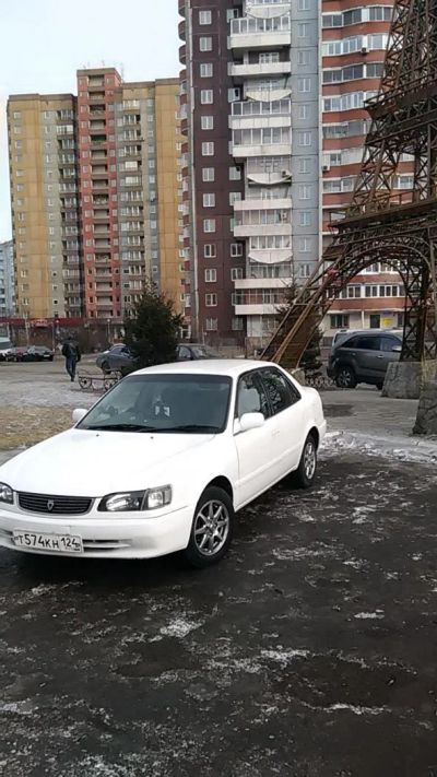 Лот: 5091416. Фото: 1. toyota corolla. Автомобили
