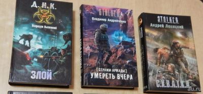 Лот: 8241657. Фото: 1. Книга Stalker (Сталкер) "Злой". Художественная