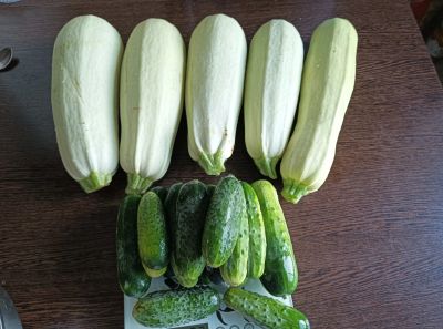 Лот: 23358725. Фото: 1. Кабачки + огурцы свежие. Овощи, фрукты, зелень