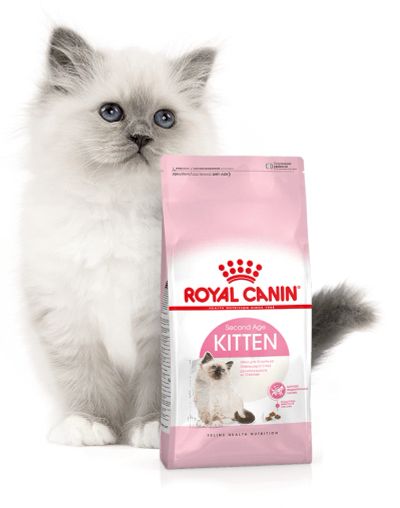 Лот: 17880774. Фото: 1. Royal Canin Kitten (Роял Канин... Корма