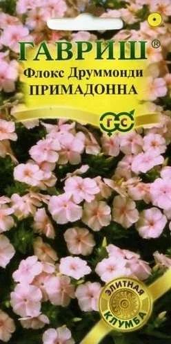 Лот: 11024448. Фото: 1. Флокс друммонди Примадонна* 8... Садовые цветы