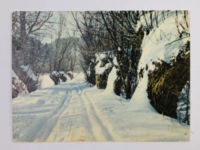 Лот: 23296494. Фото: 1. Зима в овраге Лорупе. Открытка... Открытки, конверты