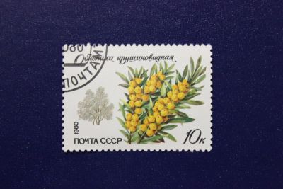 Лот: 6855945. Фото: 1. Почтовая марка №4075 в коллекцию. Марки