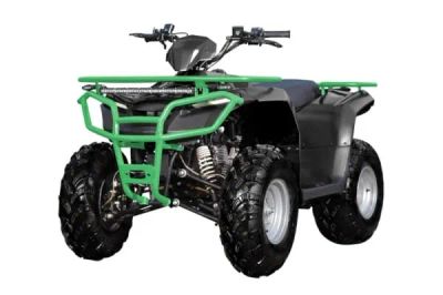 Лот: 25636257. Фото: 1. Квадроцикл SHARMAX Luxe 250 (2022... Снегоходы, квадроциклы