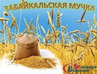 Лот: 2834382. Фото: 1. Забайкальская мучка. Уход за лицом 