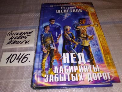 Лот: 17557948. Фото: 1. Щепетнов Евгений Нед. Лабиринты... Художественная