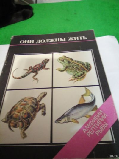 Лот: 17127898. Фото: 1. Книга.Амфибии.рептилии.рыбы. Книги для родителей