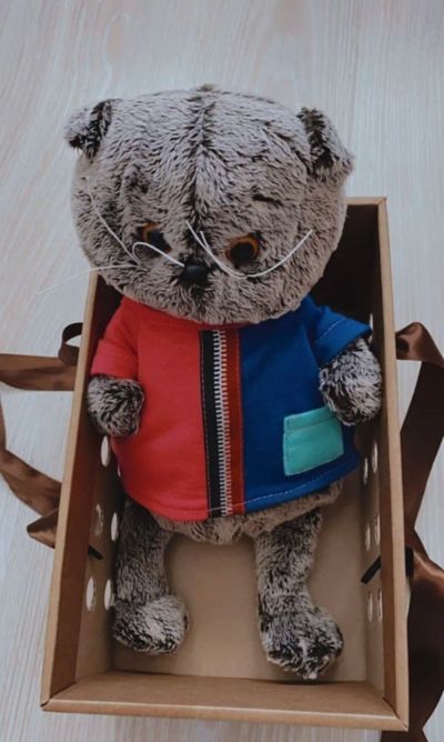 Лот: 17326611. Фото: 1. Игрушка кот Басик. Мягкие
