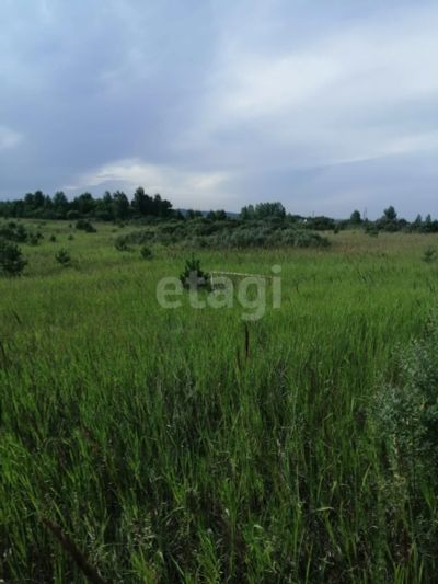 Лот: 25296475. Фото: 1. участок , СНТ Дружба СНТ Дружба... Земельные участки