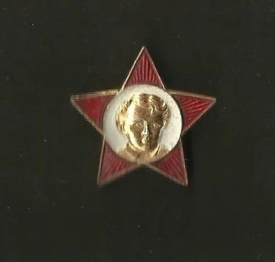 Лот: 16114125. Фото: 1. Октябрятская звездочка. Другое (значки, медали, жетоны)