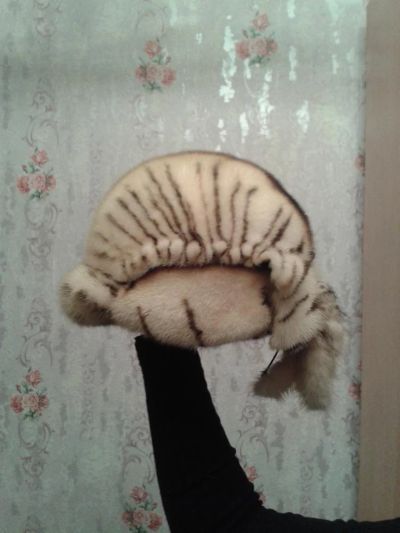Лот: 4596428. Фото: 1. Норка. Головные уборы