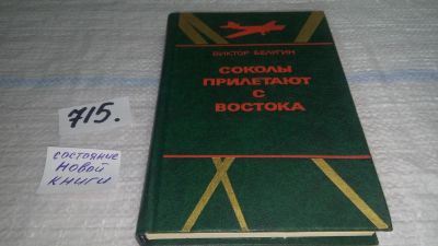 Лот: 11460796. Фото: 1. Соколы прилетают с Востока, Виктор... Художественная