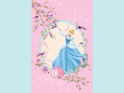 Лот: 4911410. Фото: 1. Плед флисовый Disney "Золушка... Пледы, покрывала