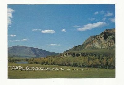 Лот: 9036780. Фото: 1. Монголия. Билчээрт. Открытки, конверты