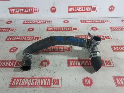 Лот: 20898619. Фото: 1. Шланг радиатора Toyota Raum NCZ20... Двигатель и элементы двигателя