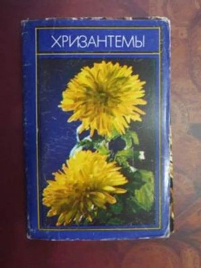 Лот: 23443014. Фото: 1. Хризантемы. Открытки, конверты