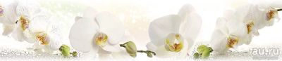 Лот: 13839324. Фото: 1. SP 215 Стеновые дизайн панели... Фартуки для кухни