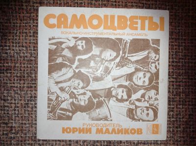 Лот: 18376837. Фото: 1. Пластинка 5. Аудиозаписи