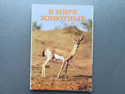 Лот: 24620343. Фото: 1. Набор открыток: В мире животных... Открытки, конверты