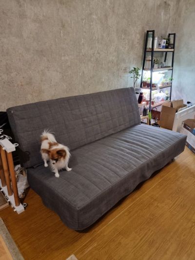Лот: 18576468. Фото: 1. Диван Бединге, Ikea. Диваны