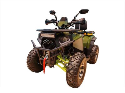 Лот: 25788080. Фото: 1. Квадроцикл FXMOTO Wasp 200. Снегоходы, квадроциклы