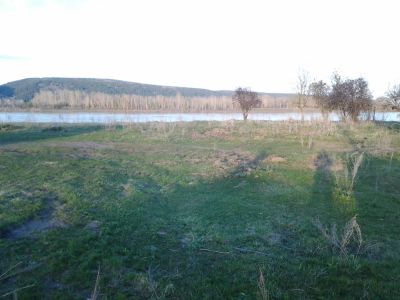 Лот: 7602812. Фото: 1. Участок на берегу Енисея. Б. Мурта... Земельные участки