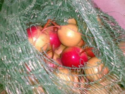 Лот: 522043. Фото: 1. Груша зимний сорт. Овощи, фрукты, зелень
