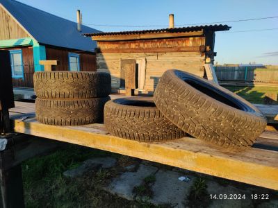 Лот: 23990480. Фото: 1. Nokian Tyres Nordman 7 SUV 215... Шины